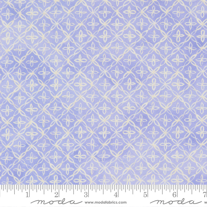 Delphinium - Flourish Lilac