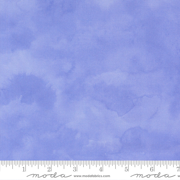 Delphinium - Shaded Solid Bluebell