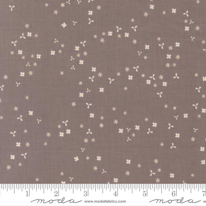 In The Garden - Flutter Slate