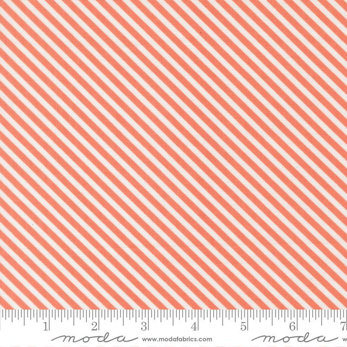 In The Garden - Bias Stripe Coral