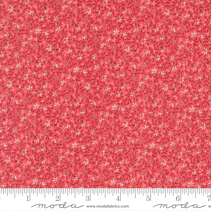 Lyda Rose - Wild Rose Petal