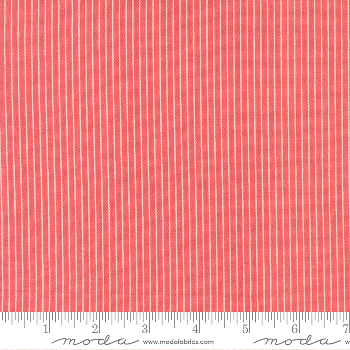 Lyda Rose - Stripes Galore Petal