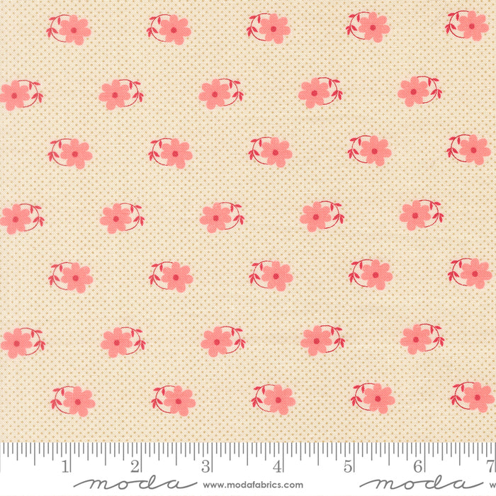 Petals & Polka Dots - Pinwheels Lace