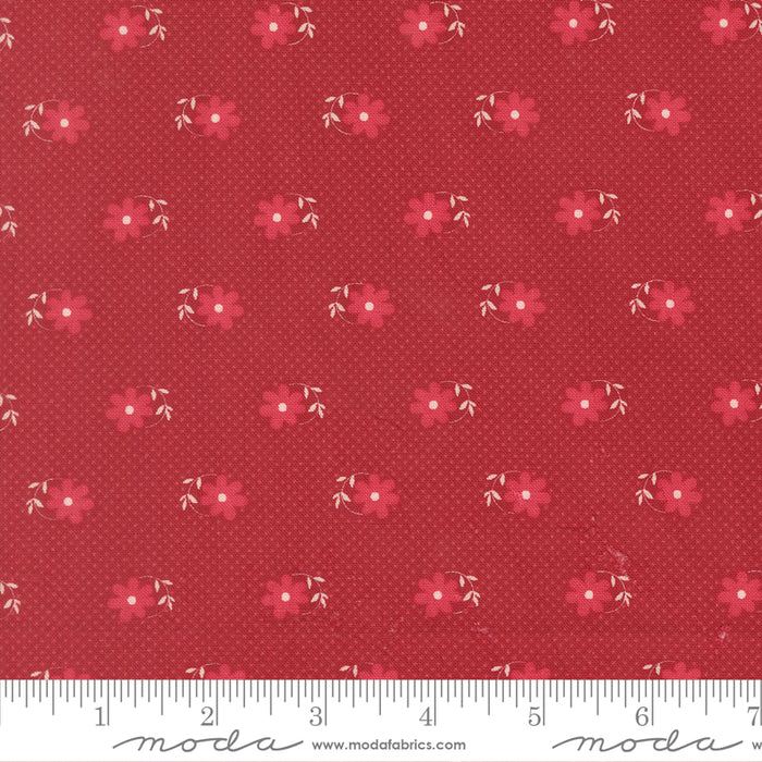 Petals & Polka Dots - Pinwheels Rose