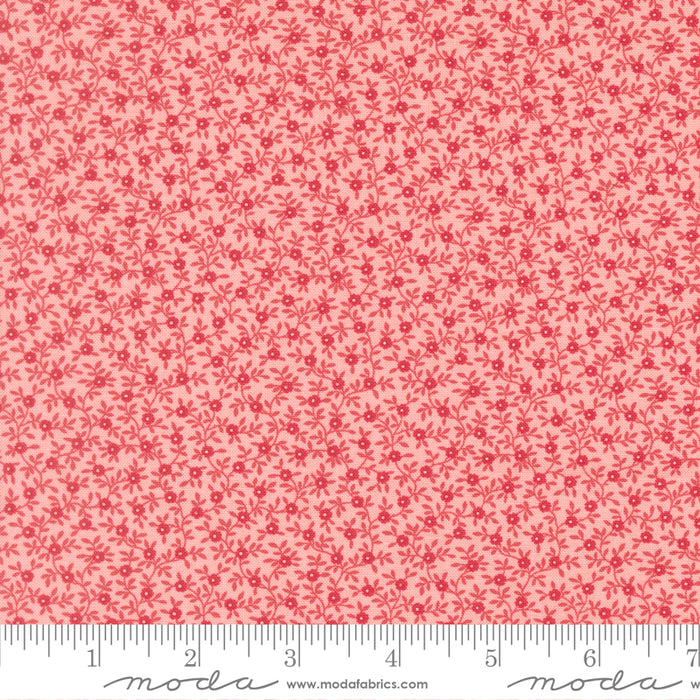 Petals & Polka Dots - Garden Vine Blush