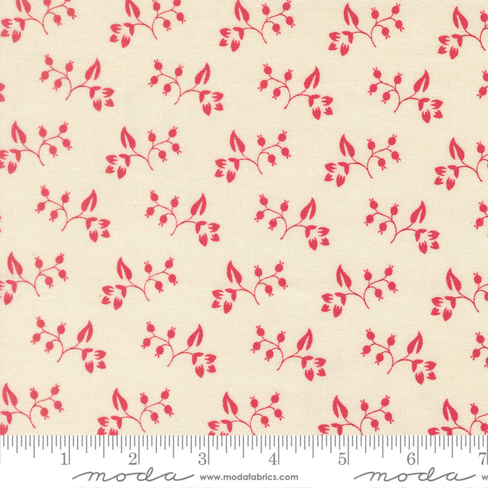 Petals & Polka Dots - Rose Hips Lace Rose