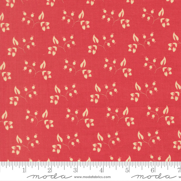 Petals & Polka Dots - Rose Hips Tea Rose