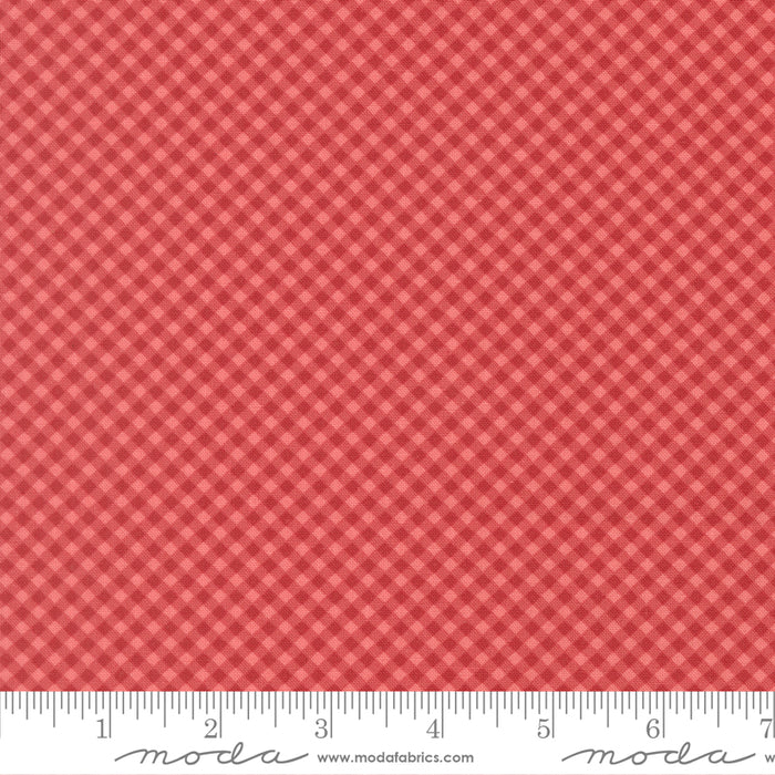 Petals & Polka Dots - Gingham Checks Berry