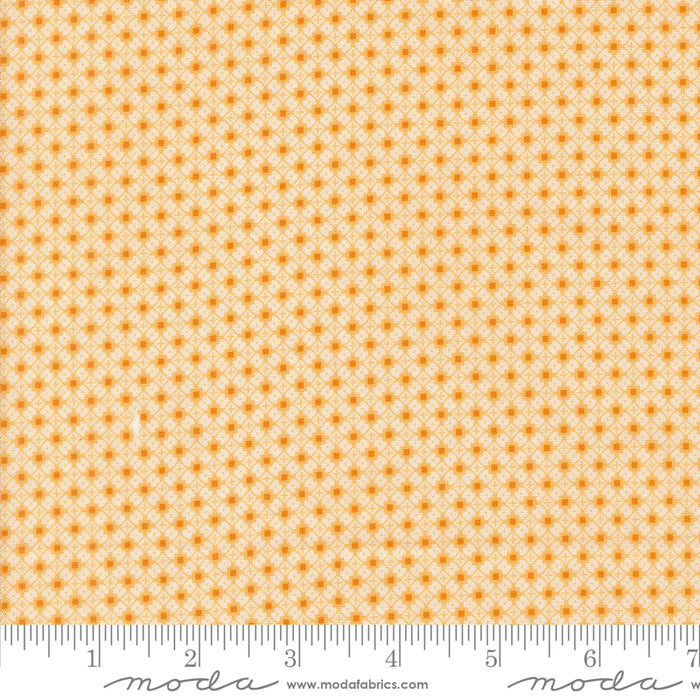 Sally's Stitches - Crisscross Blenders Honey