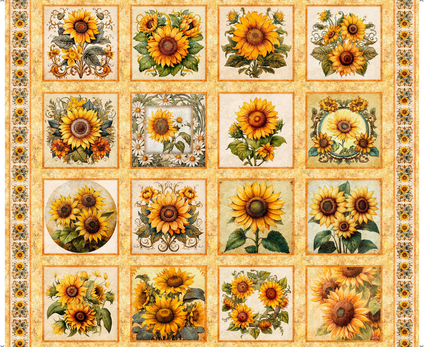 Sunflower Serenade - Sunflower Picture Patches Maize