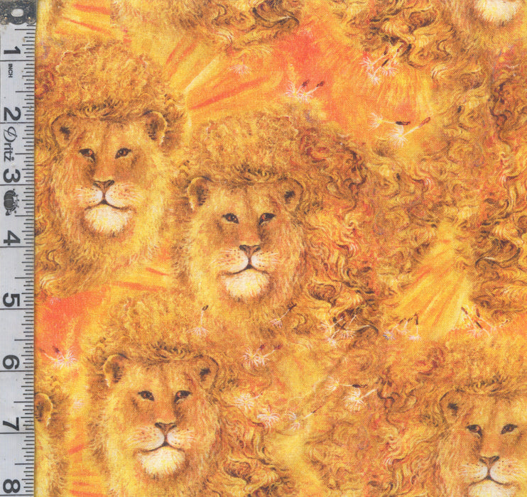 World of Wonder - Lions Gold