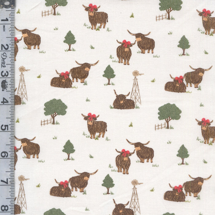 Highland Hazel - Highland Cow Pasture
