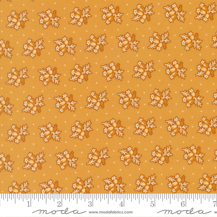 Pamelia's Path - Posey Florals Cheddar