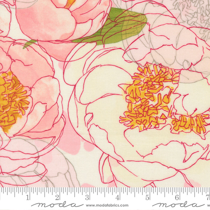 Darling Peony - Peonies Large Floral Cream