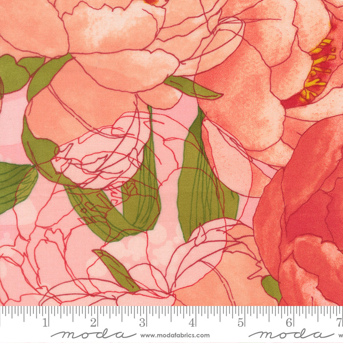 Darling Peony - Peonies Large Floral Cotton Candy