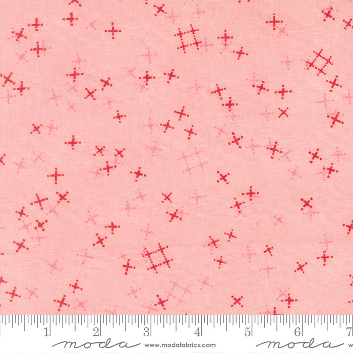 Darling Peony - Tiny Pluses Cotton Candy