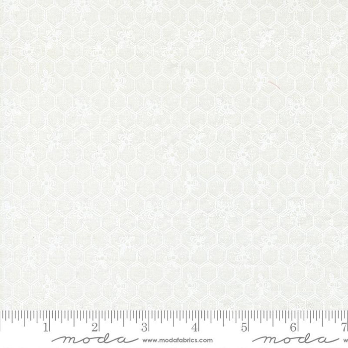Wild Honey - Honeycomb Daisy White