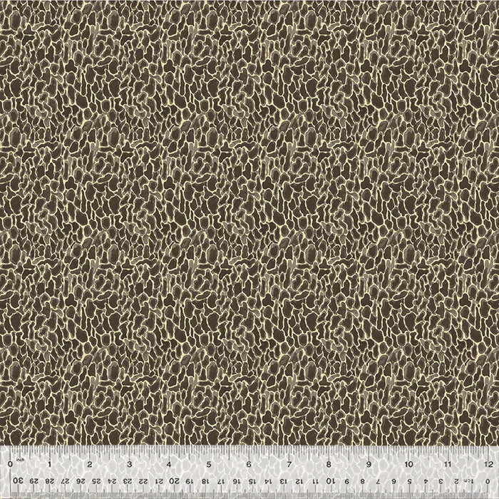 Forest Fruits - Morel Charcoal