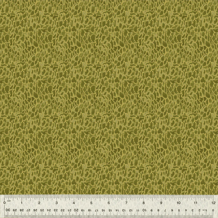 Forest Fruits - Morel Moss