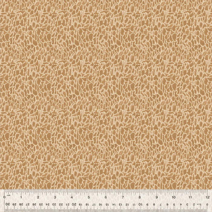 Forest Fruits - Morel Tan