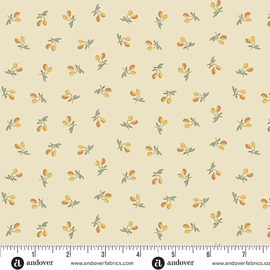 Laundry Line - Peachy Cream