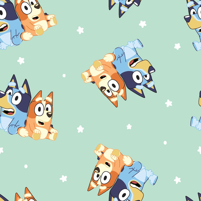 Bluey & Bingo Best Friends