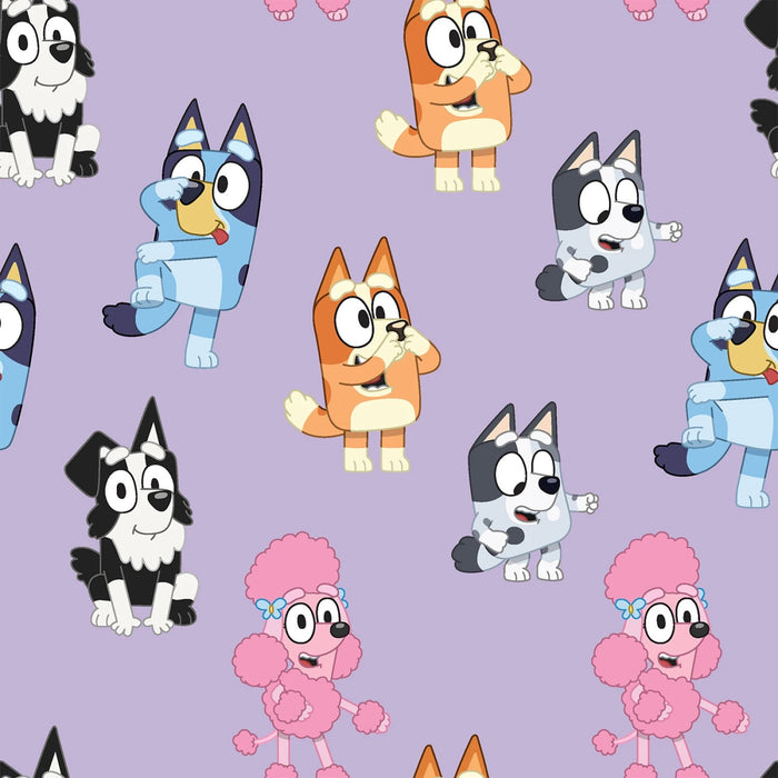 Bluey Playful Friends