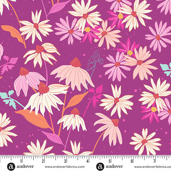 Petals & Stitches - Echinacea Fandango