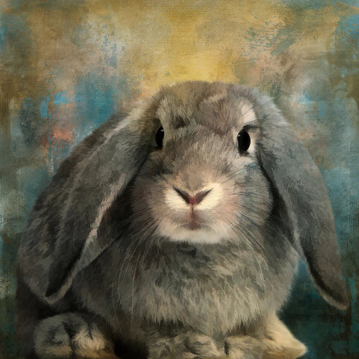 Flop Ear Bunny Prepackaged Panel