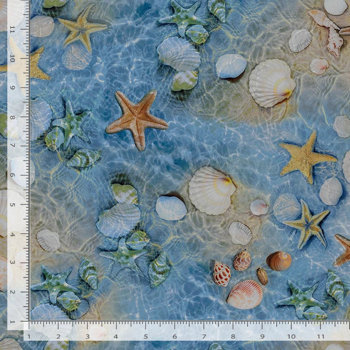 Water's Edge - Shells & Starfish