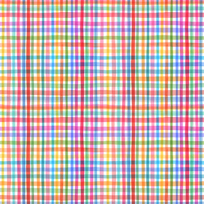 Books Are Magic - Rainbow Plaid