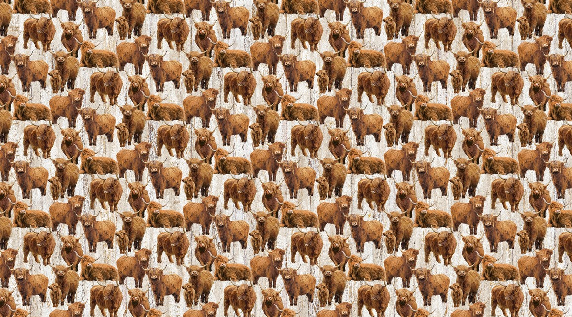 Highland Home - Highland Cows Beige