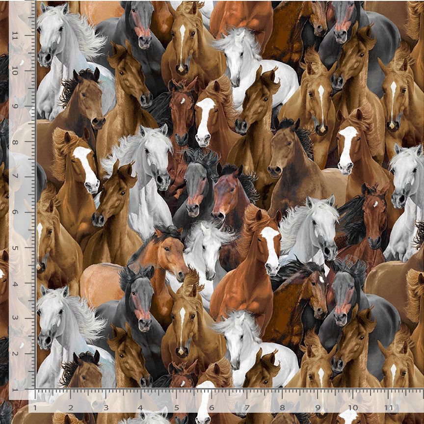 Wild Horses