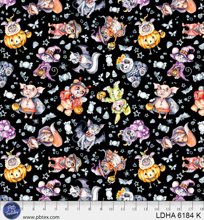 Little Darlings Halloween -  Costumes Black
