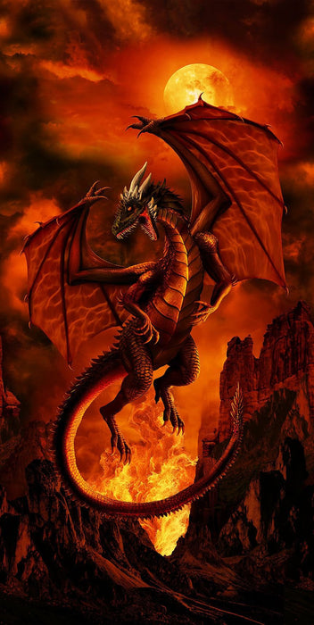 Dragon Fire - Fire Panel
