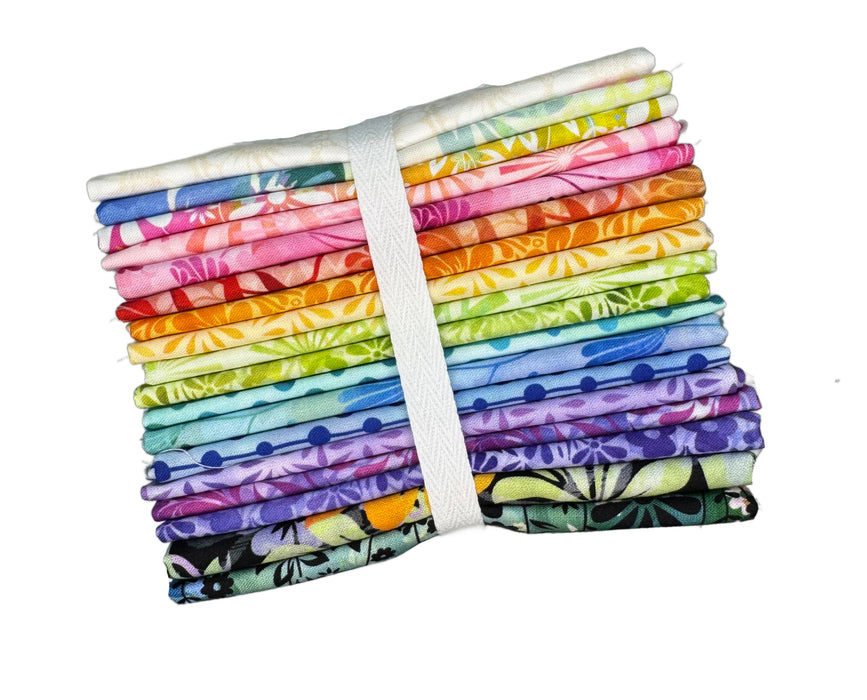 Felicity FQ Bundle