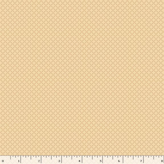 Prairie Backgrounds II - Criss Cross Butter