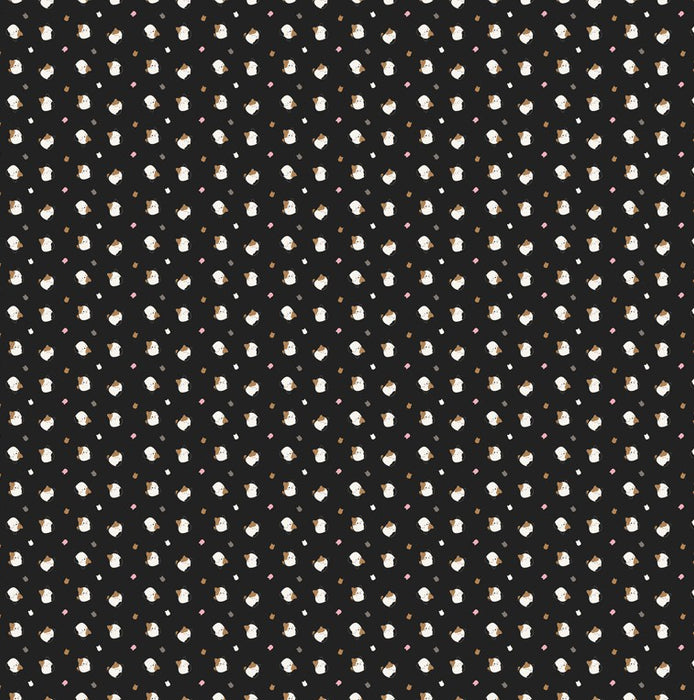 Squishmallows - Cat Toss Black