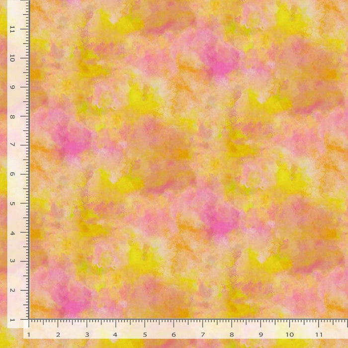Wild Beauty - Gelato Texture Orange