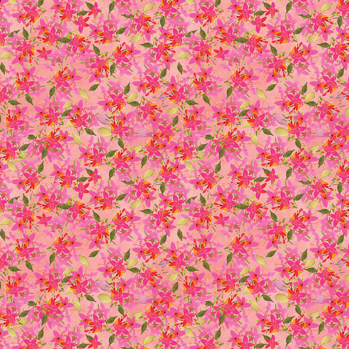 Fleur de Rose - Star Flowers Coral