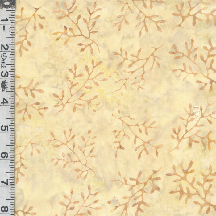 Bakers Dozen - Ferns Cream
