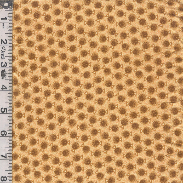 Rochester - Circle Shapes