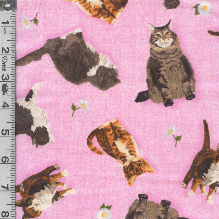 Meow Meadow - Cats Pink