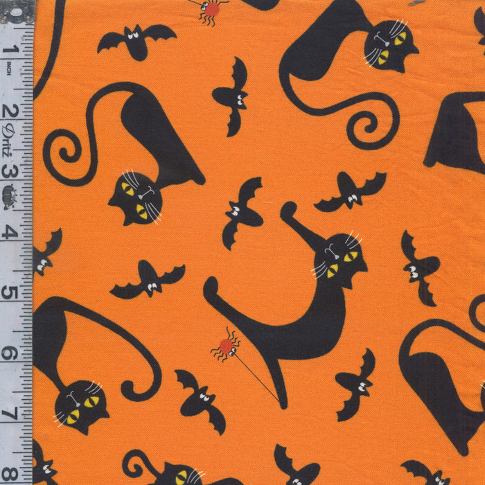 A Spooky Good Time - Halloween Cats