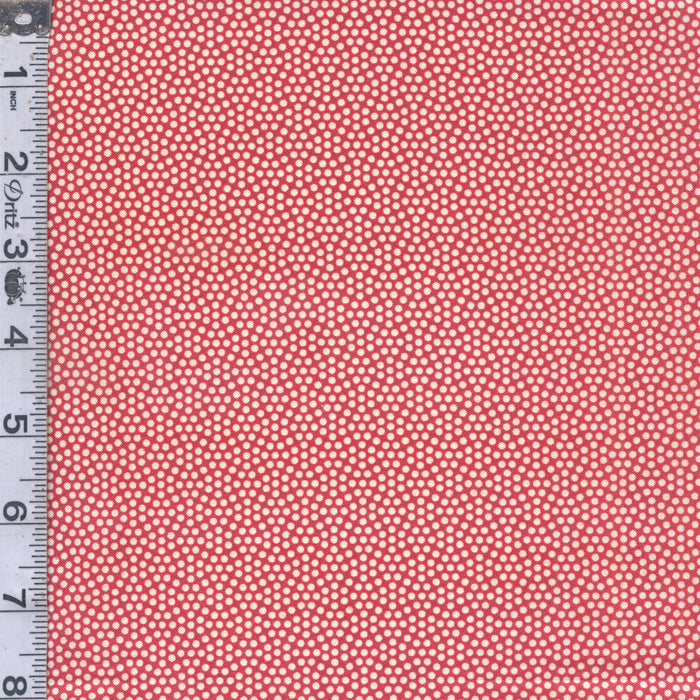 Noel - Dots Red