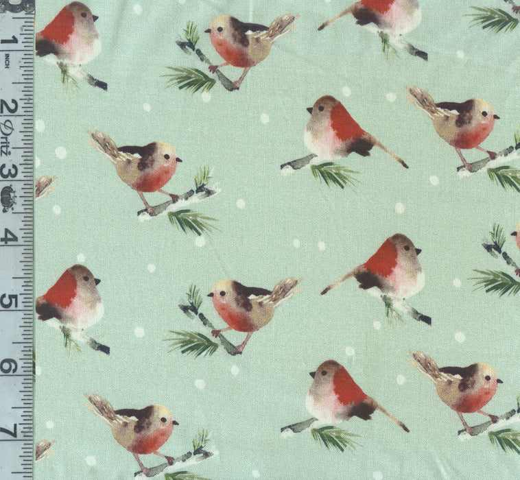 Winter Woods - Birds
