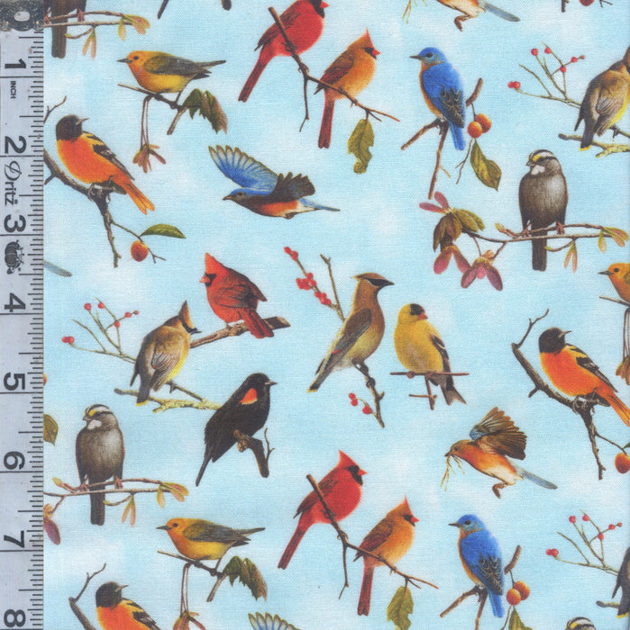 Songbirds - Blue