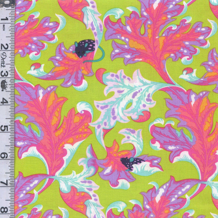 Tabby Road Déjà Vu - Eek Electroberry