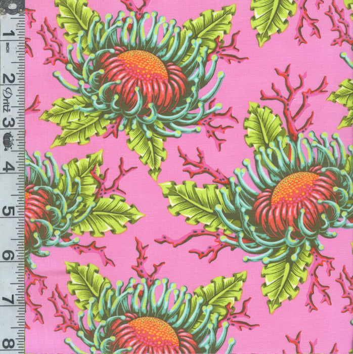 Floral Reef - Friends & Anemones Coralline