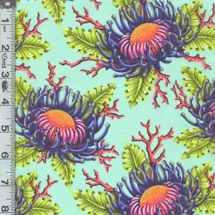 Floral Reef - Friends & Anemones Seafoam